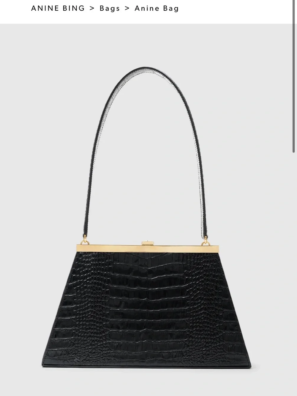 Anine Bing nwt strap